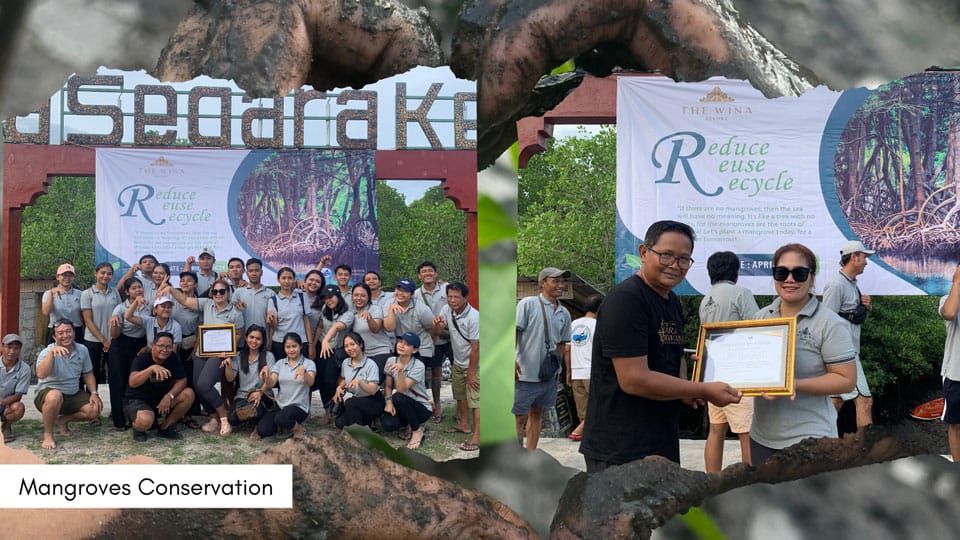 Mangroves Conservation on Earth Day