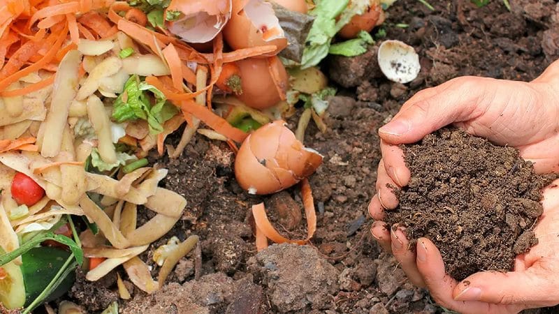 Reduce, Reuse, Recycle